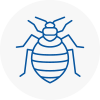 Bed Bug Extermination In Westbury