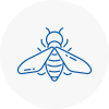 Bee Nest Removal Westbury