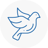 Bird Prevention Westbury