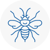 Westbury Hornet Nest Removals