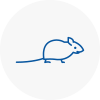Mice Exterminators In Westbury