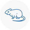 Rat Control Westbury
