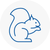 Westbury Rodent Removals